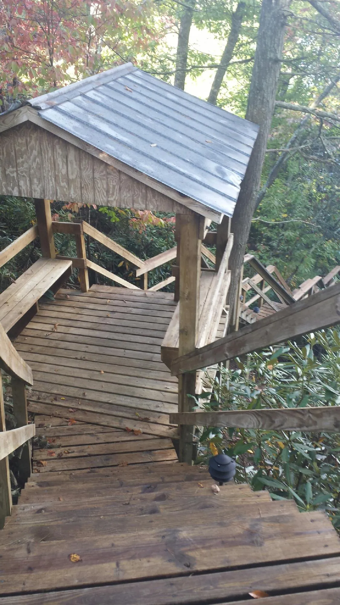 Metal roofed shelter over wooden steps on a wooded walkway — Skylight Repair & Installation work by our crew in Camas