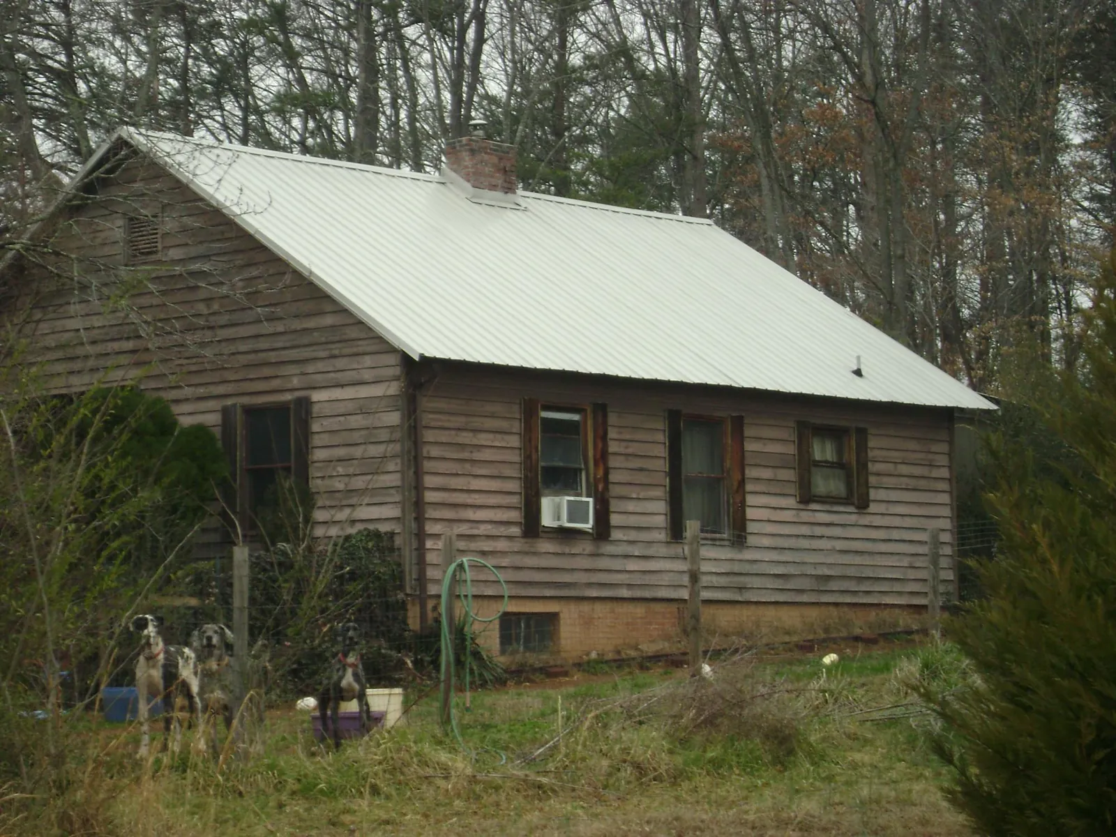 White metal roof on an old wood sided farmhouse, from a Metal Roof Installation job in Camas